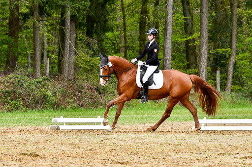 Quali für Goldene Schärpe Ponys in Berge   6+7.5.23 | Cosima Nike Schmedt - Frieda Gold_02 