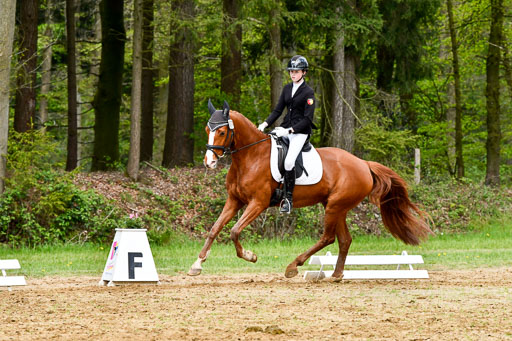 Quali für Goldene Schärpe Ponys in Berge   6+7.5.23 | Cosima Nike Schmedt - Frieda Gold_03 