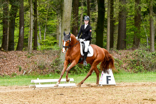 Quali für Goldene Schärpe Ponys in Berge   6+7.5.23 | Cosima Nike Schmedt - Frieda Gold_04 