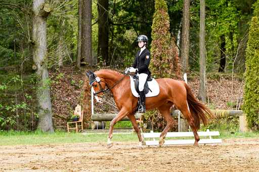 Quali für Goldene Schärpe Ponys in Berge   6+7.5.23 | Cosima Nike Schmedt - Frieda Gold_06 
