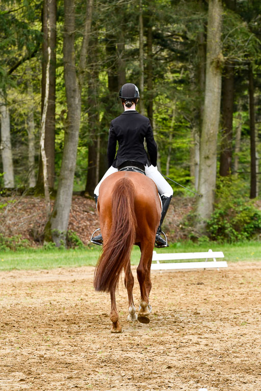 Quali für Goldene Schärpe Ponys in Berge   6+7.5.23 | Cosima Nike Schmedt - Frieda Gold_07 