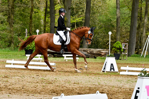 Quali für Goldene Schärpe Ponys in Berge   6+7.5.23 | Cosima Nike Schmedt - Frieda Gold_08 