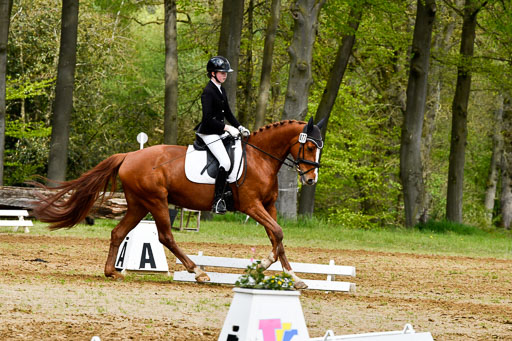 Quali für Goldene Schärpe Ponys in Berge   6+7.5.23 | Cosima Nike Schmedt - Frieda Gold_09 