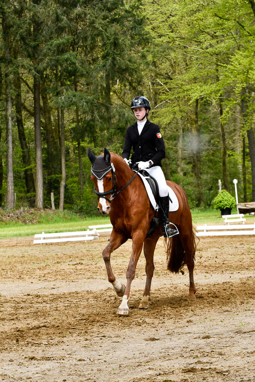 Quali für Goldene Schärpe Ponys in Berge   6+7.5.23 | Cosima Nike Schmedt - Frieda Gold_10 