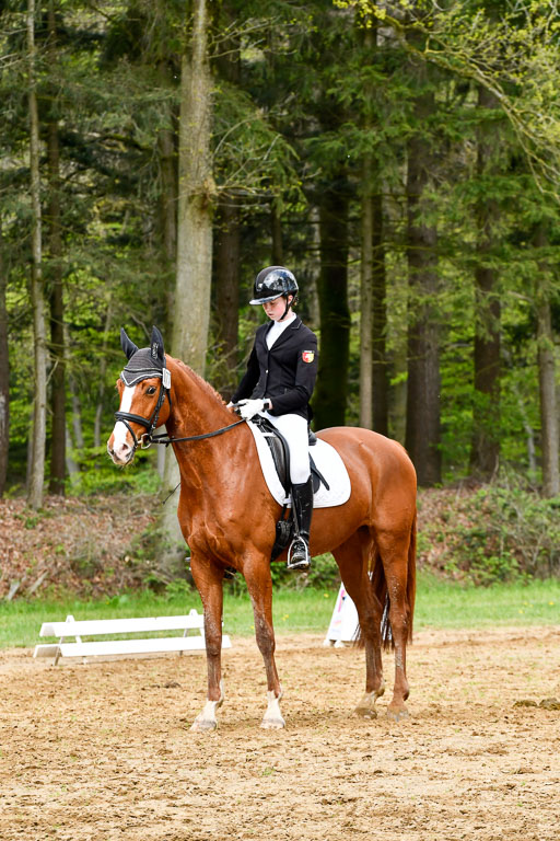 Quali für Goldene Schärpe Ponys in Berge   6+7.5.23 | Cosima Nike Schmedt - Frieda Gold_11 