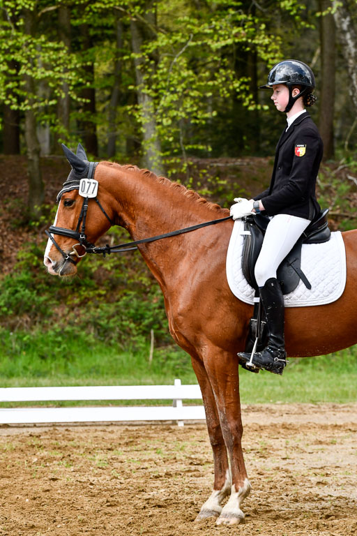 Quali für Goldene Schärpe Ponys in Berge   6+7.5.23 | Cosima Nike Schmedt - Frieda Gold_13 