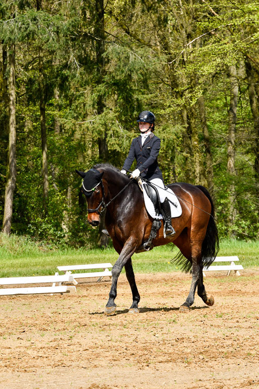 Quali für Goldene Schärpe Ponys in Berge   6+7.5.23 | Emily Deuble - Conchita 