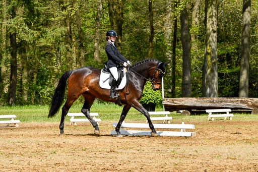 Quali für Goldene Schärpe Ponys in Berge   6+7.5.23 | Emily Deuble - Conchita_08 