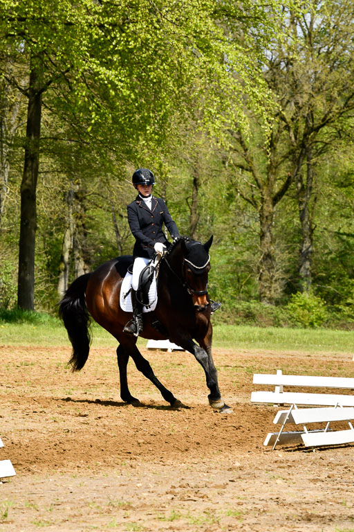 Quali für Goldene Schärpe Ponys in Berge   6+7.5.23 | Emily Deuble - Conchita_09 