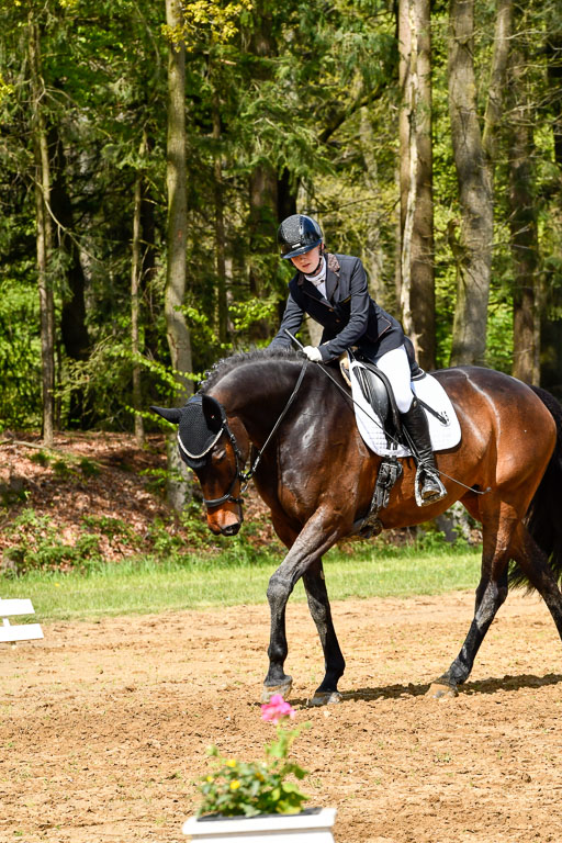 Quali für Goldene Schärpe Ponys in Berge   6+7.5.23 | Emily Deuble - Conchita_10 