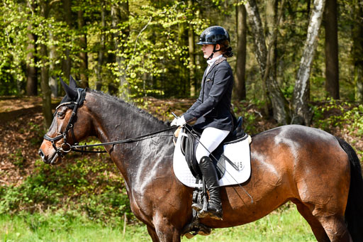 Quali für Goldene Schärpe Ponys in Berge   6+7.5.23 | Emily Deuble - Conchita_11 