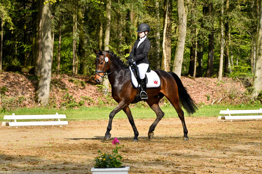 Quali für Goldene Schärpe Ponys in Berge   6+7.5.23 | Emma Triphaus - Calle Cool_05 