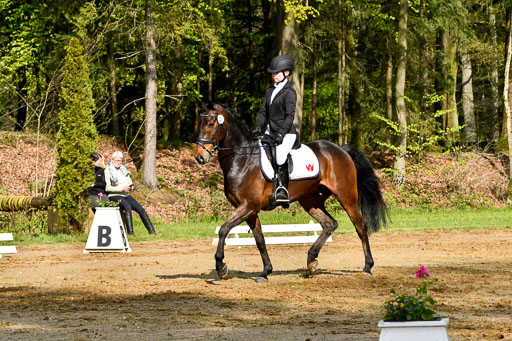 Quali für Goldene Schärpe Ponys in Berge   6+7.5.23 | Emma Triphaus - Calle Cool_06 
