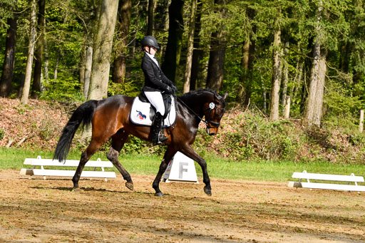 Quali für Goldene Schärpe Ponys in Berge   6+7.5.23 | Emma Triphaus - Calle Cool_07 