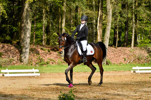 Quali für Goldene Schärpe Ponys in Berge   6+7.5.23 | Emma Triphaus - Calle Cool_08 