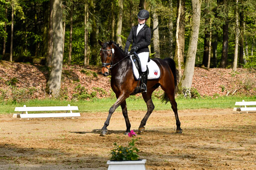 Quali für Goldene Schärpe Ponys in Berge   6+7.5.23 | Emma Triphaus - Calle Cool_09 
