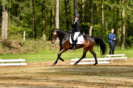 Quali für Goldene Schärpe Ponys in Berge   6+7.5.23 | Emma Triphaus - Calle Cool_10 