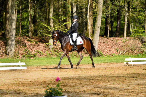 Quali für Goldene Schärpe Ponys in Berge   6+7.5.23 | Emma Triphaus - Calle Cool_13 