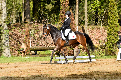Quali für Goldene Schärpe Ponys in Berge   6+7.5.23 | Emma Triphaus - Calle Cool_15 