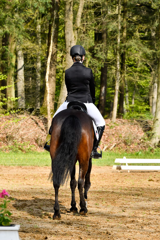 Quali für Goldene Schärpe Ponys in Berge   6+7.5.23 | Emma Triphaus - Calle Cool_19 