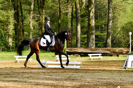Quali für Goldene Schärpe Ponys in Berge   6+7.5.23 | Emma Triphaus - Calle Cool_21 