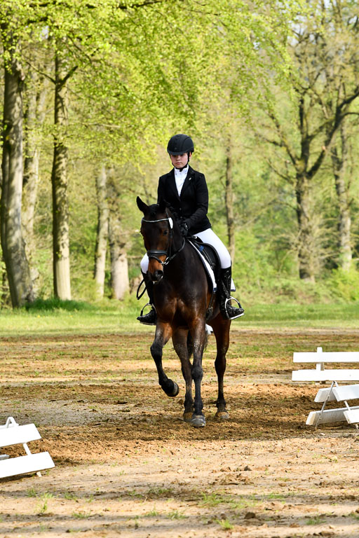 Quali für Goldene Schärpe Ponys in Berge   6+7.5.23 | Emma Triphaus - Calle Cool_22 
