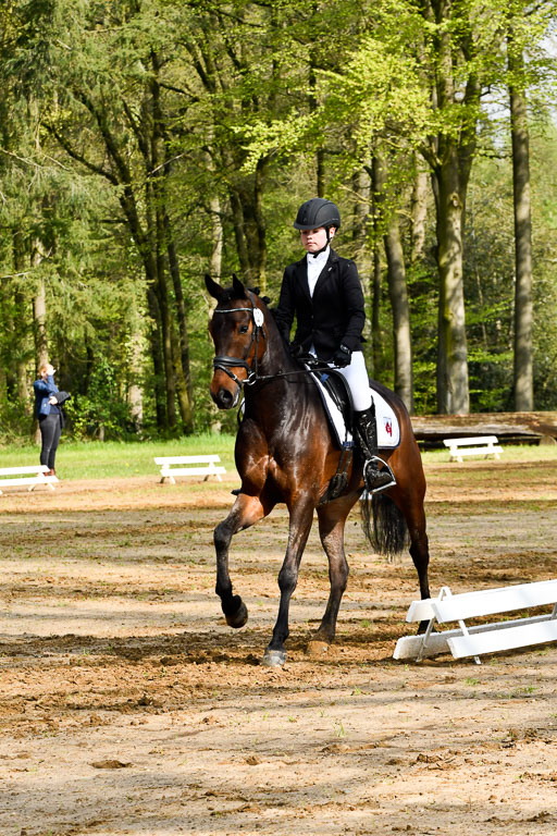 Quali für Goldene Schärpe Ponys in Berge   6+7.5.23 | Emma Triphaus - Calle Cool_24 