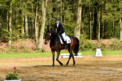 Quali für Goldene Schärpe Ponys in Berge   6+7.5.23 | Emma Triphaus - Calle Cool_27 