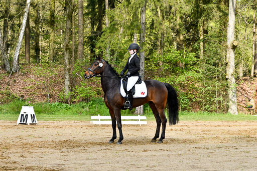 Quali für Goldene Schärpe Ponys in Berge   6+7.5.23 | Emma Triphaus - Calle Cool_28 