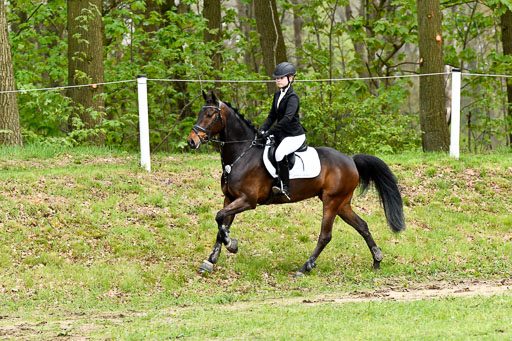 Quali für Goldene Schärpe Ponys in Berge   6+7.5.23 | Emma Triphaus - Calle Cool_35 