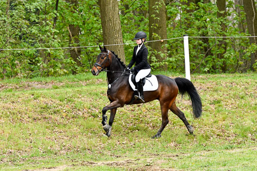 Quali für Goldene Schärpe Ponys in Berge   6+7.5.23 | Emma Triphaus - Calle Cool_36 