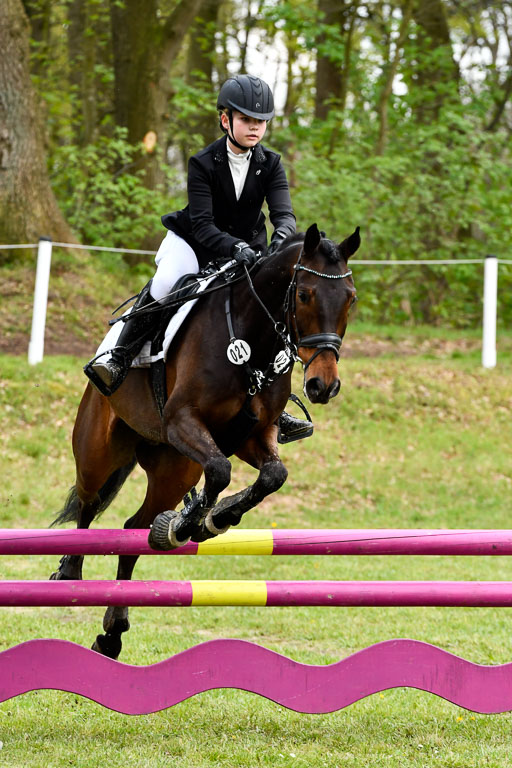 Quali für Goldene Schärpe Ponys in Berge   6+7.5.23 | Emma Triphaus - Calle Cool_45 