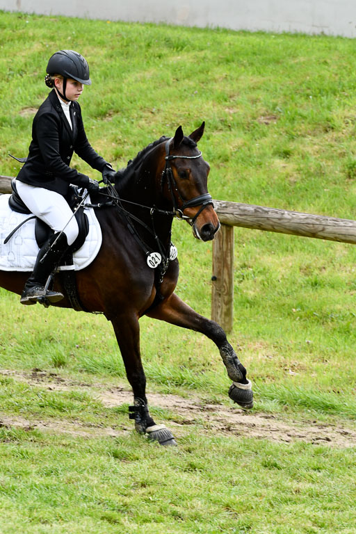 Quali für Goldene Schärpe Ponys in Berge   6+7.5.23 | Emma Triphaus - Calle Cool_48 