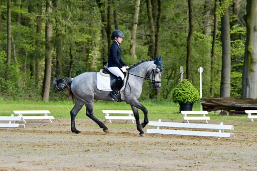 Quali für Goldene Schärpe Ponys in Berge   6+7.5.23 | Eva Kotschofsky  - Ranger_07 