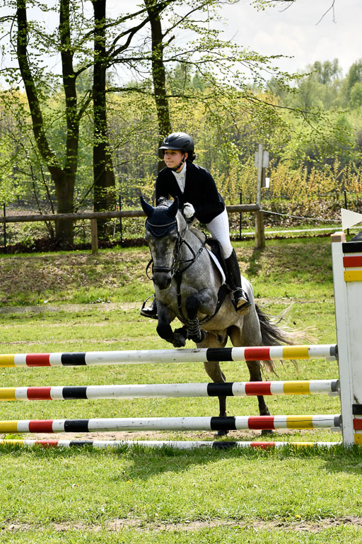 Quali für Goldene Schärpe Ponys in Berge   6+7.5.23 | Eva Kotschofsky  - Ranger_14 