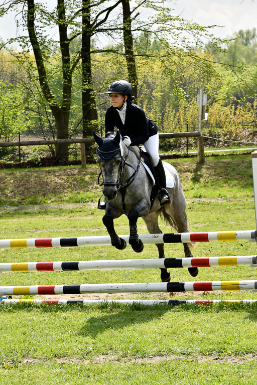 Quali für Goldene Schärpe Ponys in Berge   6+7.5.23 | Eva Kotschofsky  - Ranger_15 