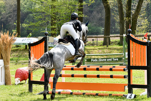 Quali für Goldene Schärpe Ponys in Berge   6+7.5.23 | Eva Kotschofsky  - Ranger_18 