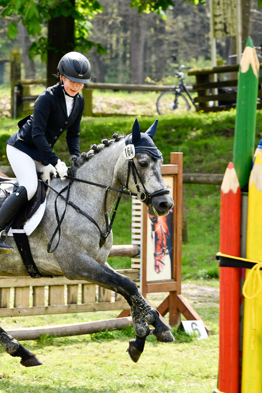 Quali für Goldene Schärpe Ponys in Berge   6+7.5.23 | Eva Kotschofsky  - Ranger_24 