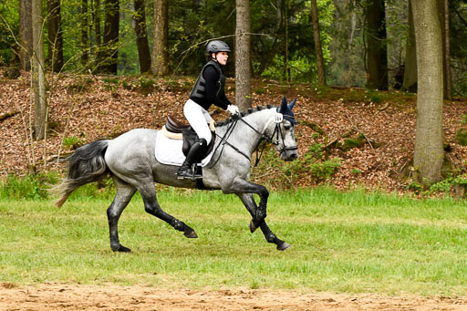 Quali für Goldene Schärpe Ponys in Berge   6+7.5.23 | Eva Kotschofsky  - Ranger_30 