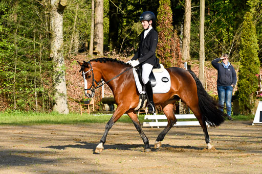 Quali für Goldene Schärpe Ponys in Berge   6+7.5.23 | Felix Triskatis - Captain Chaos 