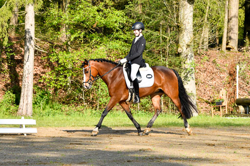 Quali für Goldene Schärpe Ponys in Berge   6+7.5.23 | Felix Triskatis - Captain Chaos_05 