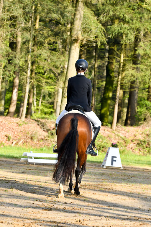 Quali für Goldene Schärpe Ponys in Berge   6+7.5.23 | Felix Triskatis - Captain Chaos_07 