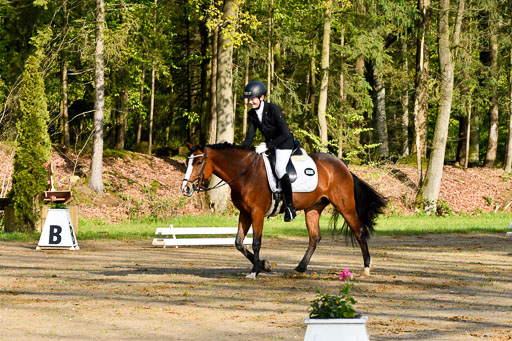 Quali für Goldene Schärpe Ponys in Berge   6+7.5.23 | Felix Triskatis - Captain Chaos_08 