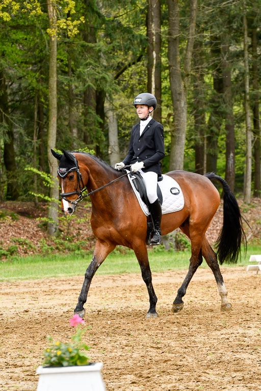 Quali für Goldene Schärpe Ponys in Berge   6+7.5.23 | Felix Triskatis - Captain Chaos_12 