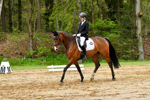 Quali für Goldene Schärpe Ponys in Berge   6+7.5.23 | Felix Triskatis - Captain Chaos_13 