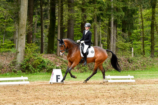 Quali für Goldene Schärpe Ponys in Berge   6+7.5.23 | Felix Triskatis - Captain Chaos_16 