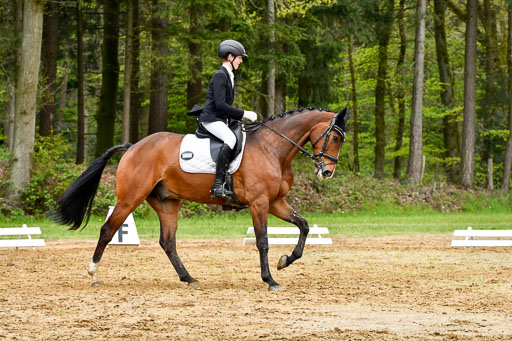 Quali für Goldene Schärpe Ponys in Berge   6+7.5.23 | Felix Triskatis - Captain Chaos_18 