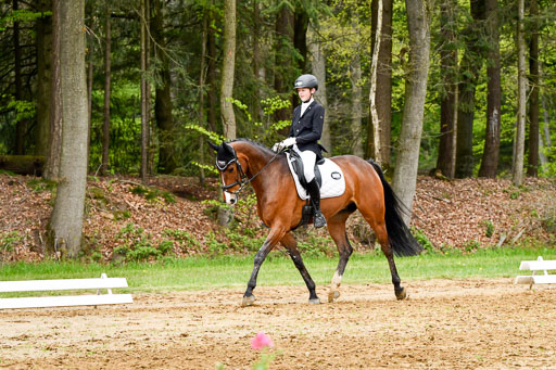 Quali für Goldene Schärpe Ponys in Berge   6+7.5.23 | Felix Triskatis - Captain Chaos_19 