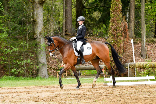 Quali für Goldene Schärpe Ponys in Berge   6+7.5.23 | Felix Triskatis - Captain Chaos_21 