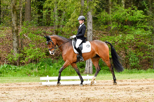 Quali für Goldene Schärpe Ponys in Berge   6+7.5.23 | Felix Triskatis - Captain Chaos_22 